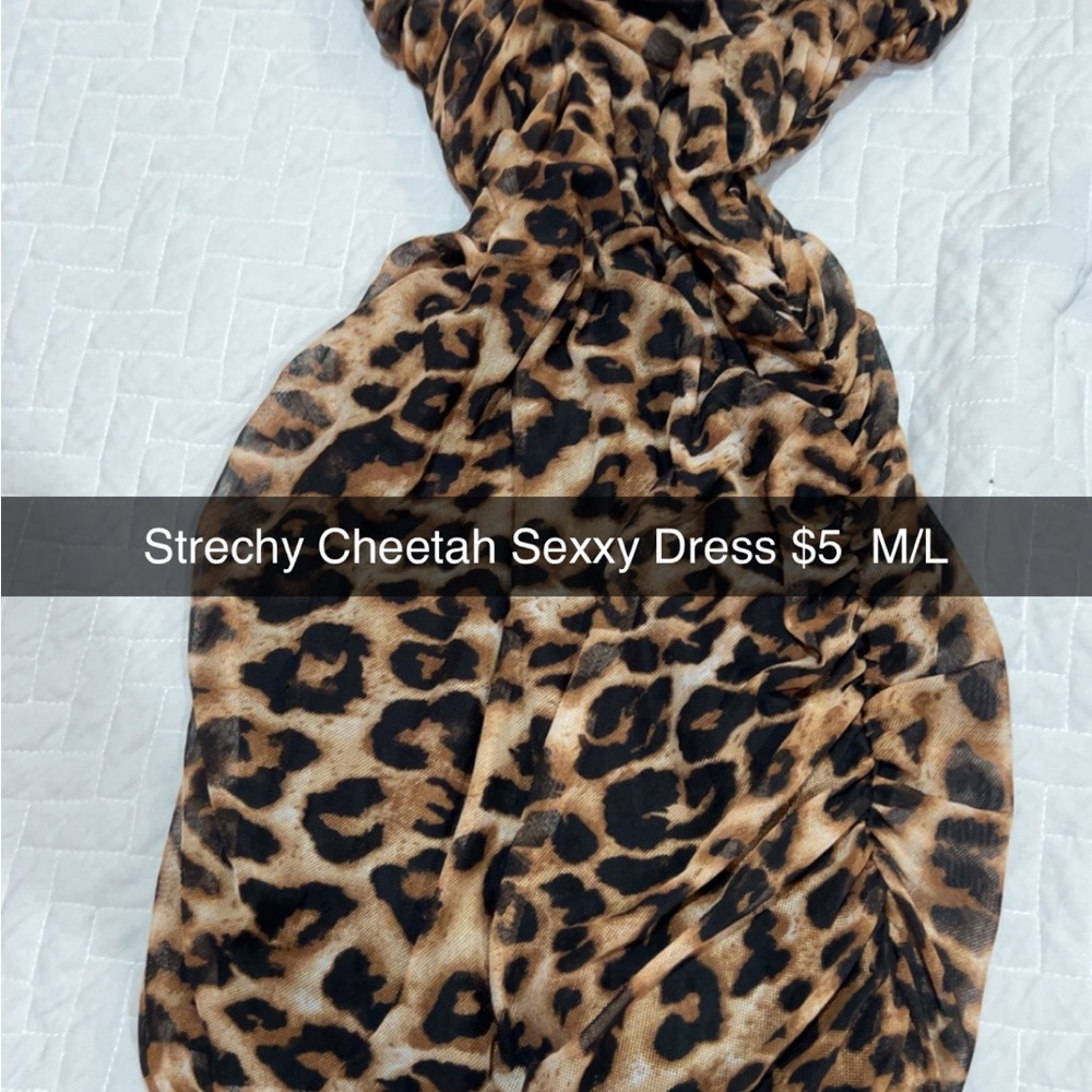 Leopard Print Stretchy Dress
